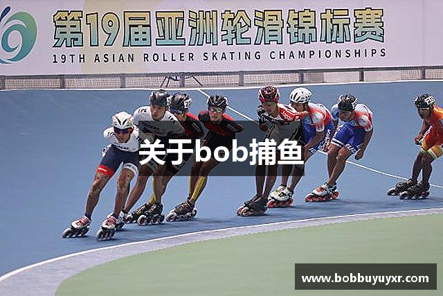 关于bob捕鱼